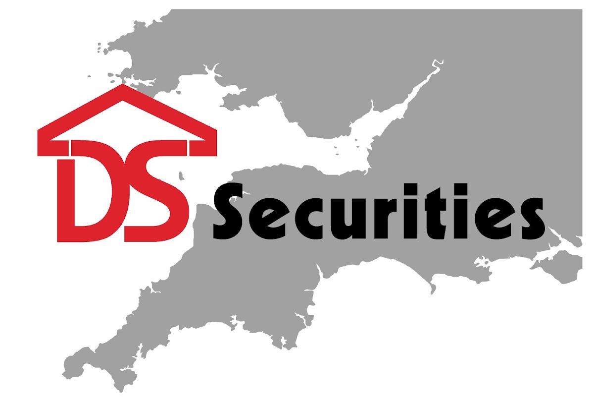 D S Securities Ltd
