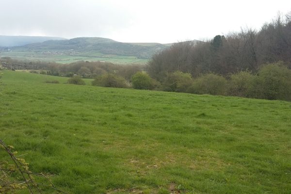 Car Park