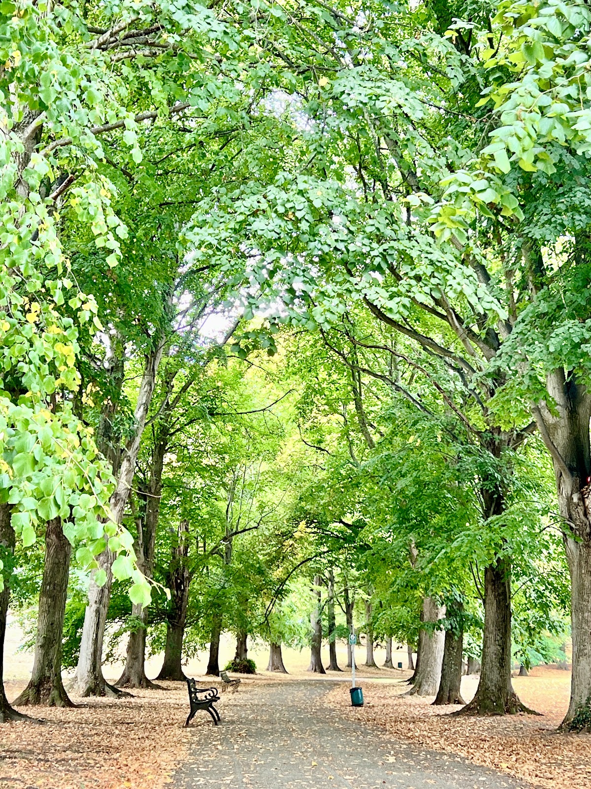 Ashcombe Park