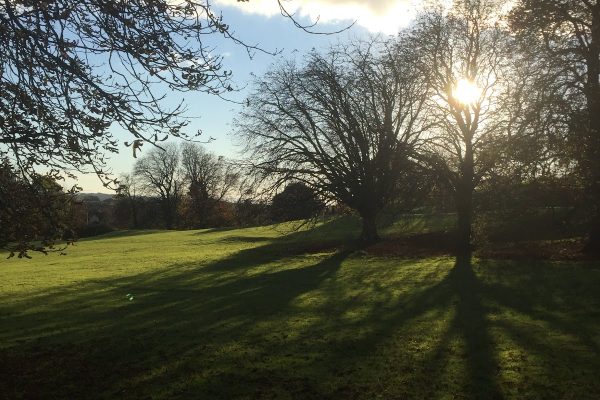 Ashcombe Park Playground