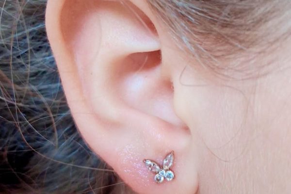 Posh holes body piercing Booked Appointments Only