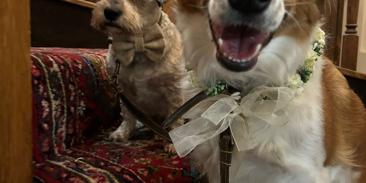 Together Furever Weddings