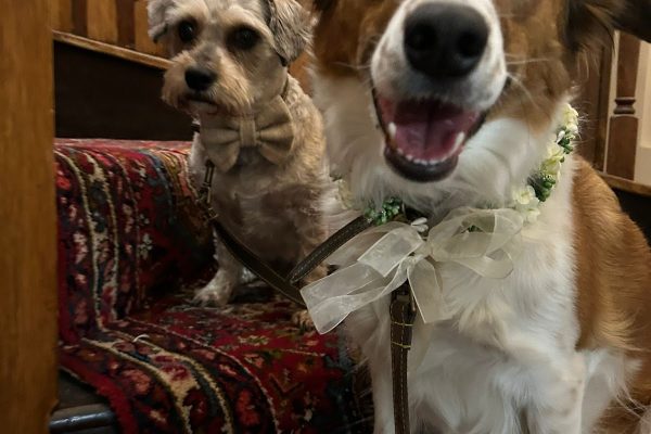 Together Furever Weddings
