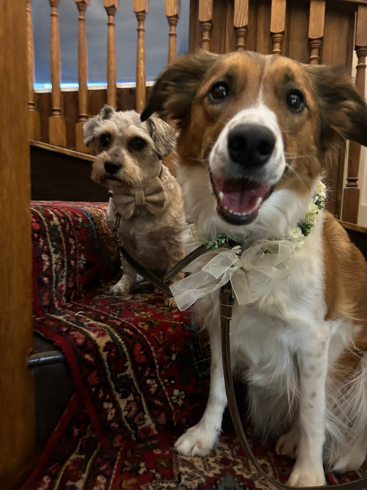 Together Furever Weddings