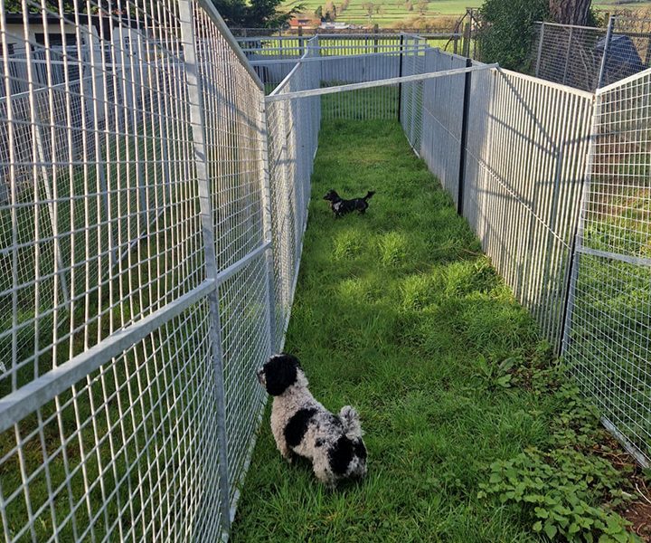 Highfield Kennels