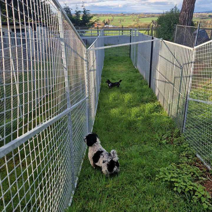 Highfield Kennels