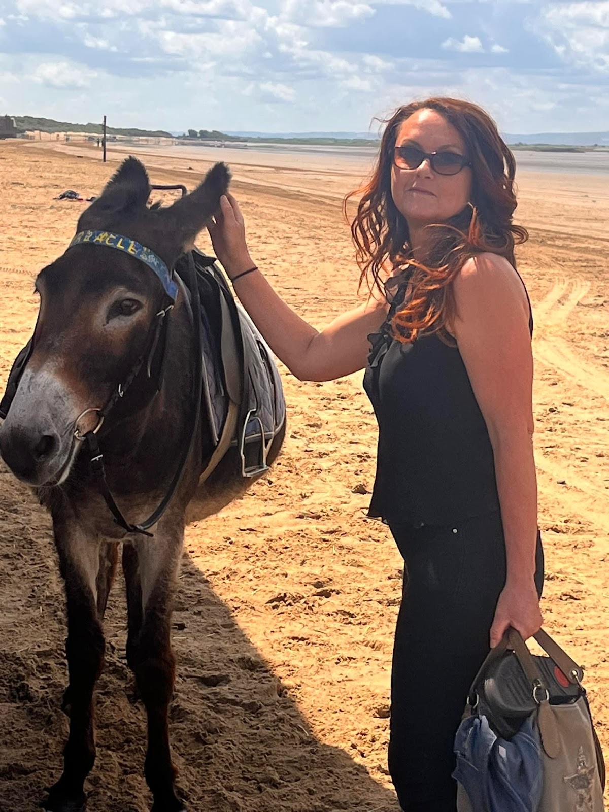 Weston Donkeys (RG Mager & Sons)