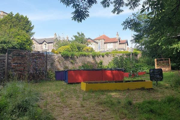 Community Nature Hub
