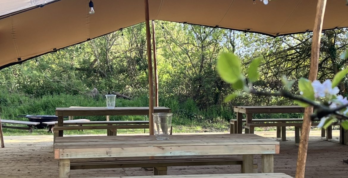 The Pear Orchard