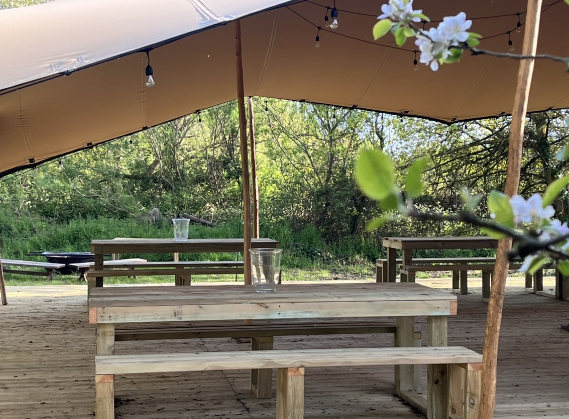 The Pear Orchard