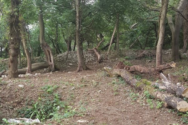 Worlebury Hillfort