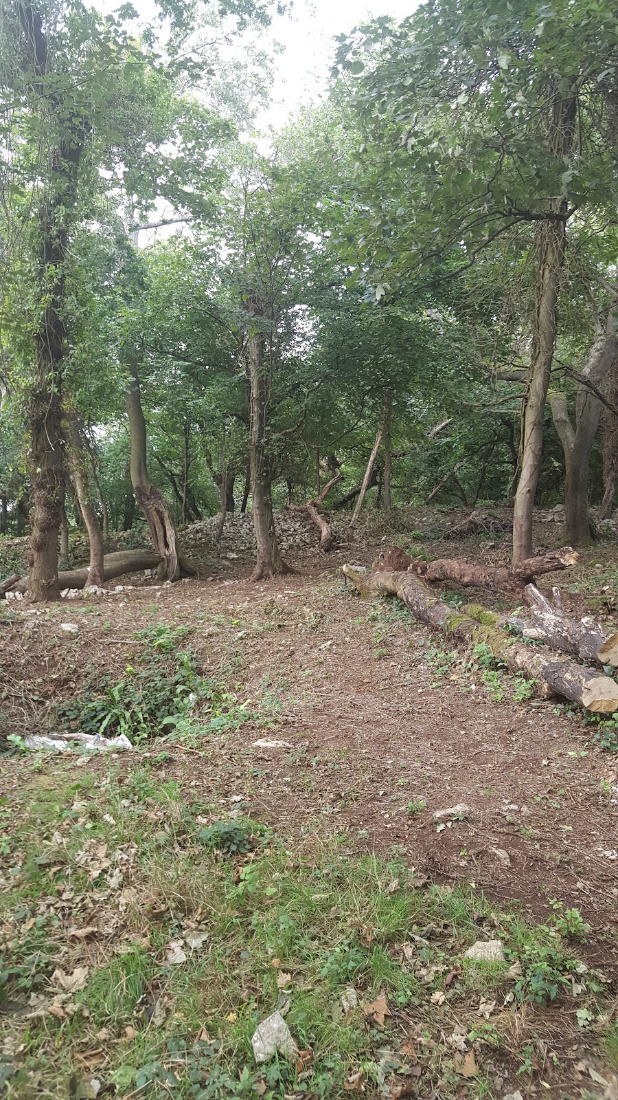 Worlebury Hillfort