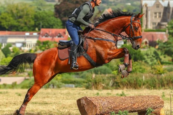 Hill Top Equestrian – Coaching & Livery