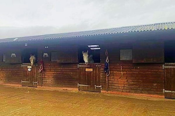 Woodspring View Stables