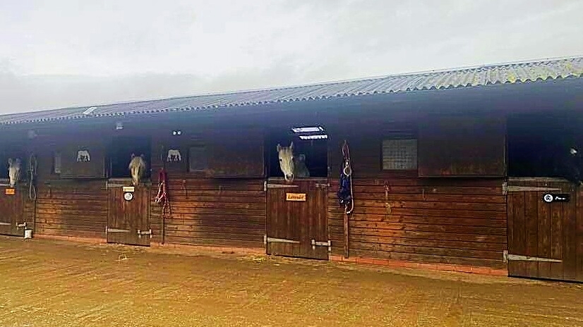 Woodspring View Stables