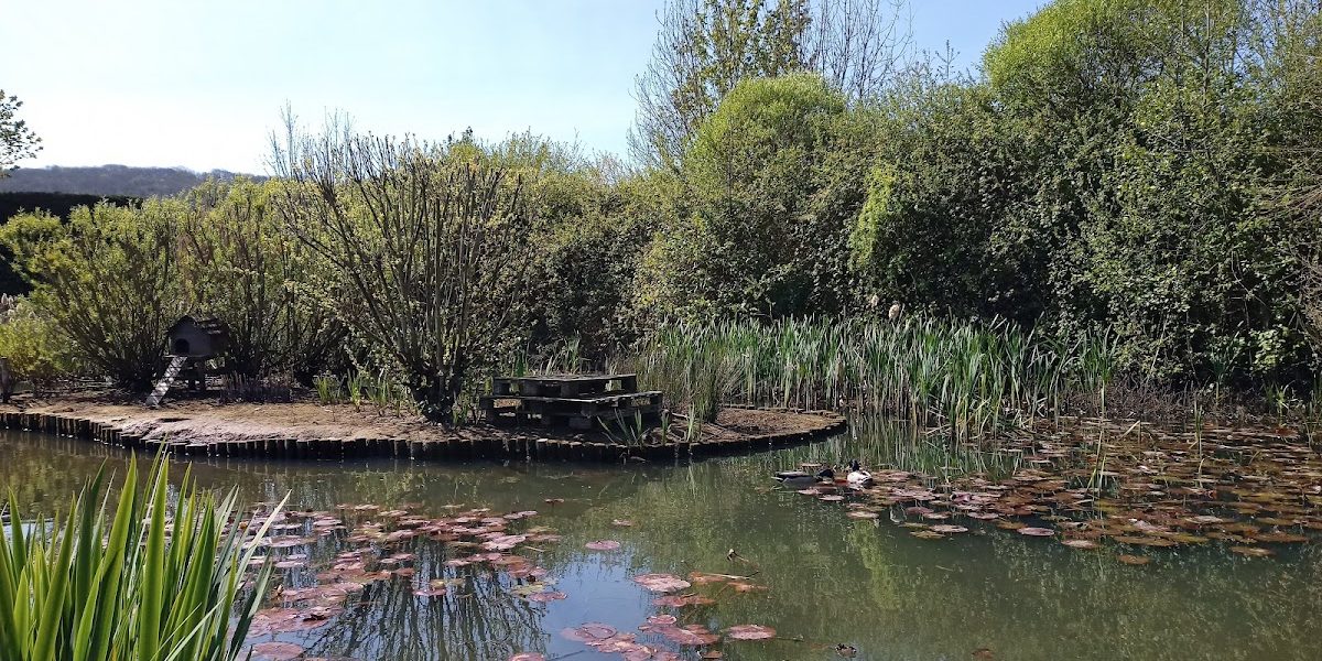 Des Phippen Park