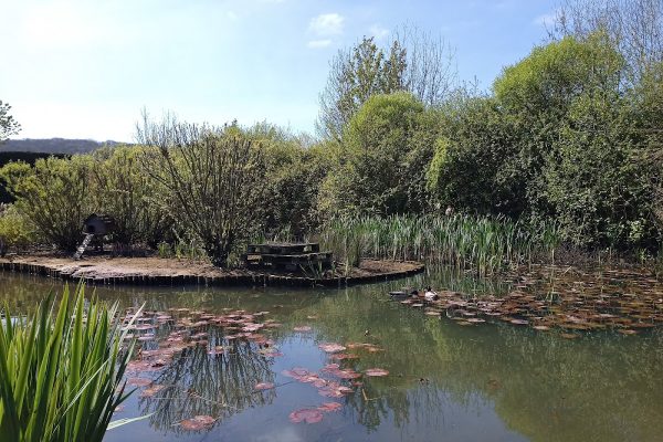 Des Phippen Park