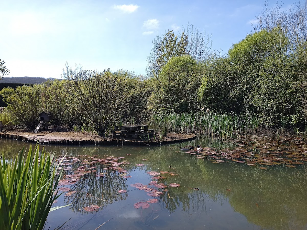 Des Phippen Park