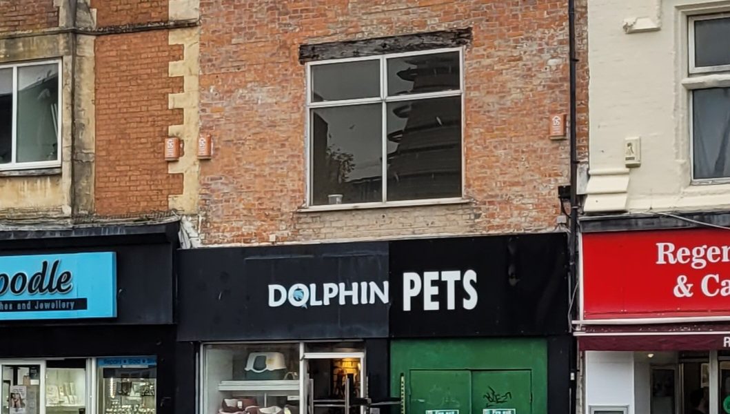 Dolphin Pets