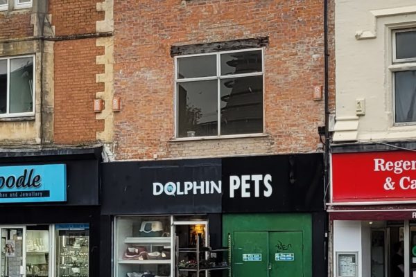 Dolphin Pets