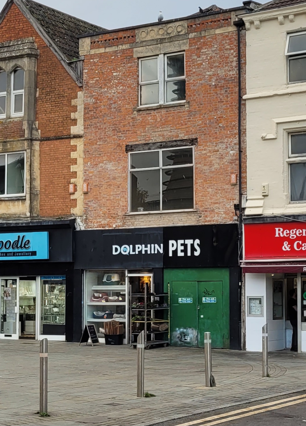 Dolphin Pets