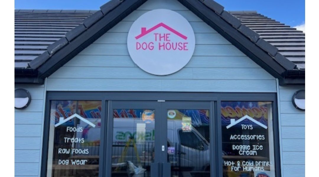 All In The Dog House