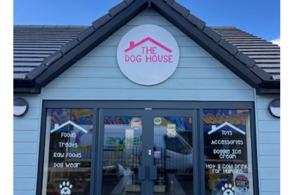 All In The Dog House