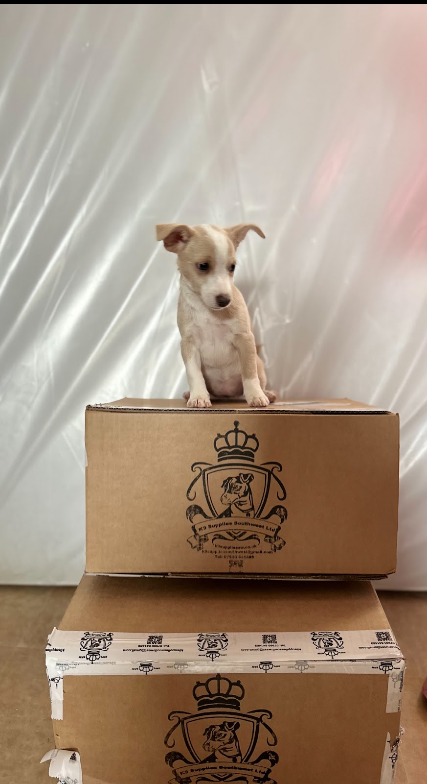 K9 Supplies Southwest Ltd