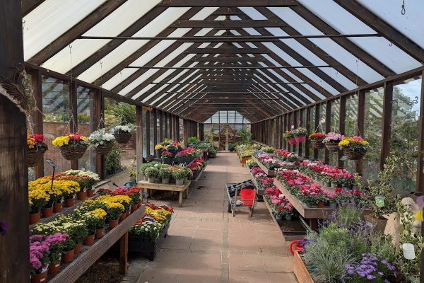 Hutton Garden Centre