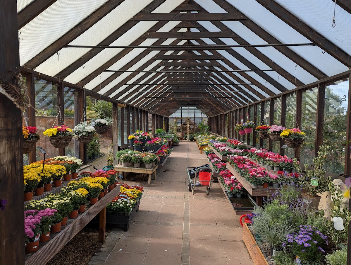 Hutton Garden Centre