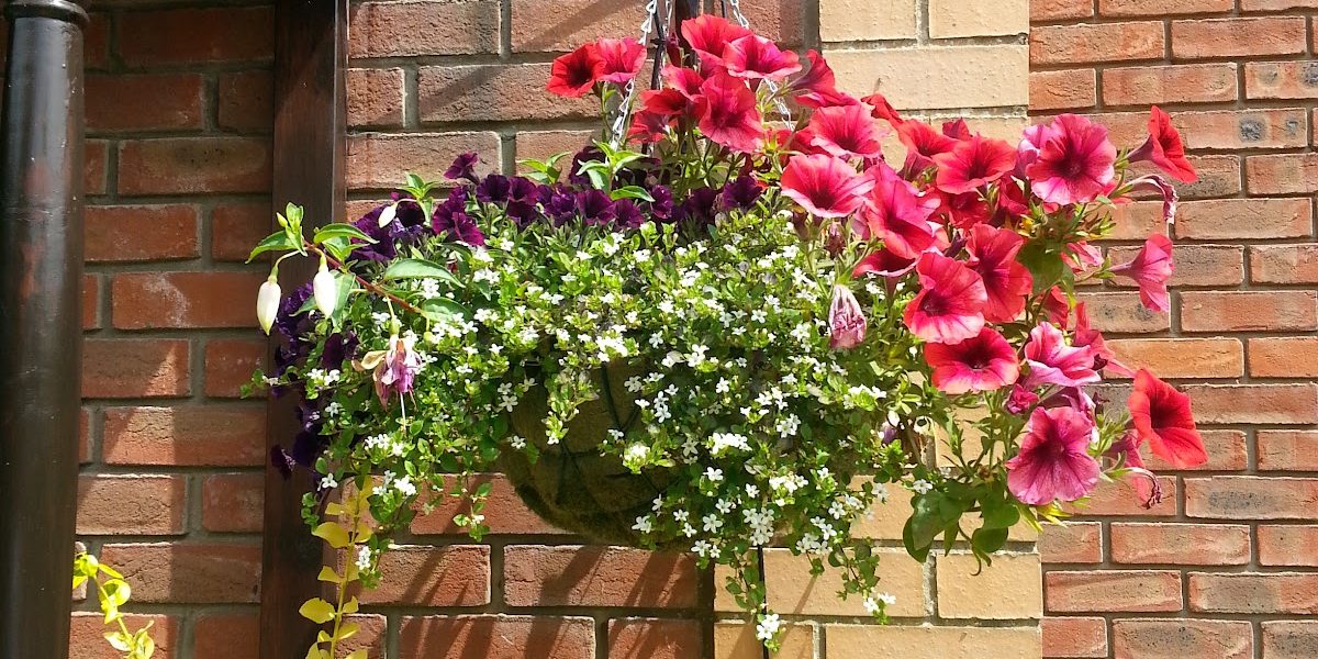 Woodspring Nursery
