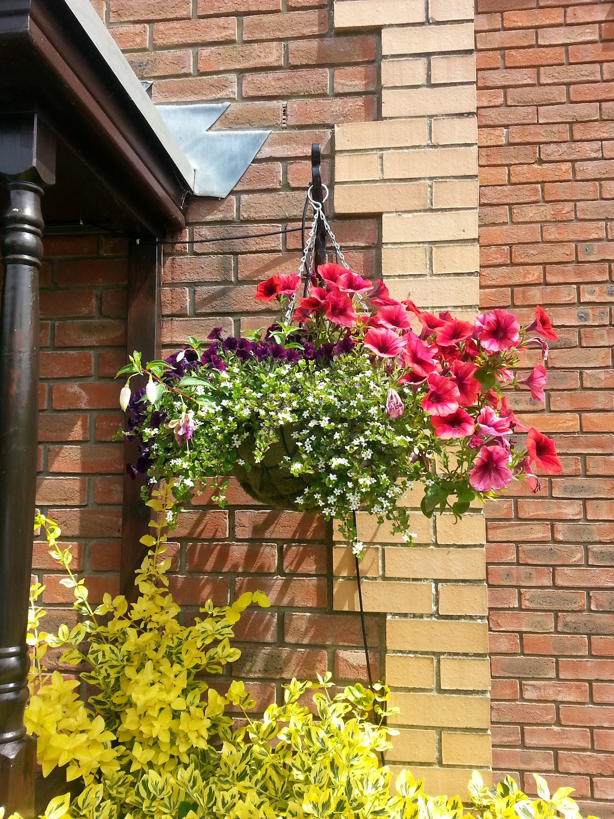 Woodspring Nursery