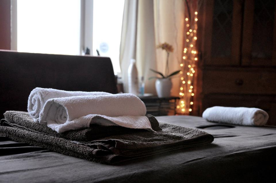 Climbing Rose Holistic Therapies Mobile Massage Therapy