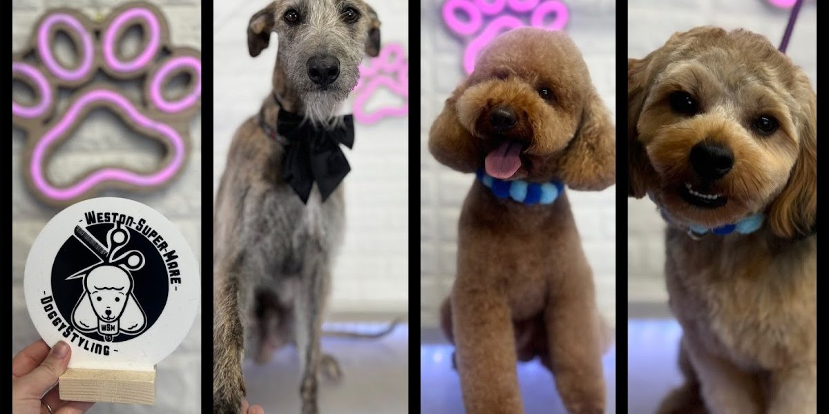 DoggyStylingwsm dog groomers
