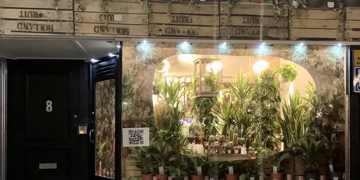Your houseplants Ltd