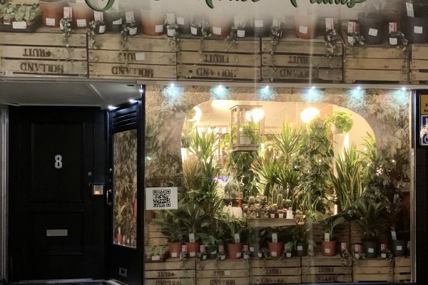 Your houseplants Ltd