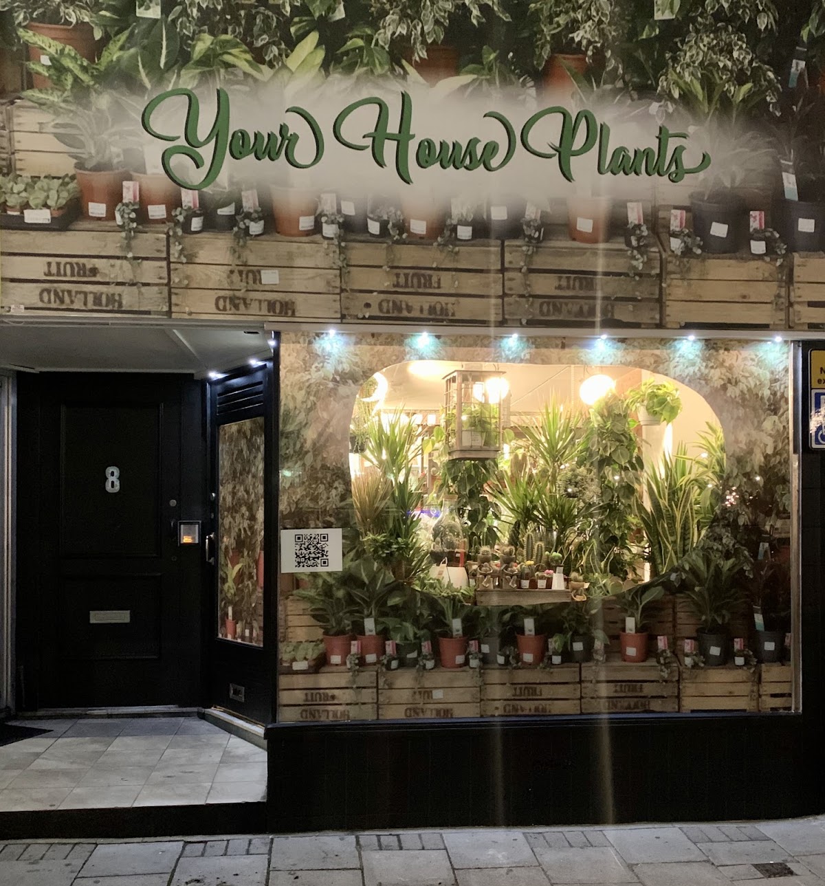 Your houseplants Ltd