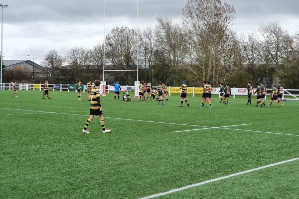 Hornets Rugby Football Club
