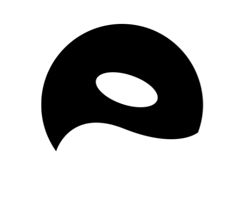 Orca Pay Group