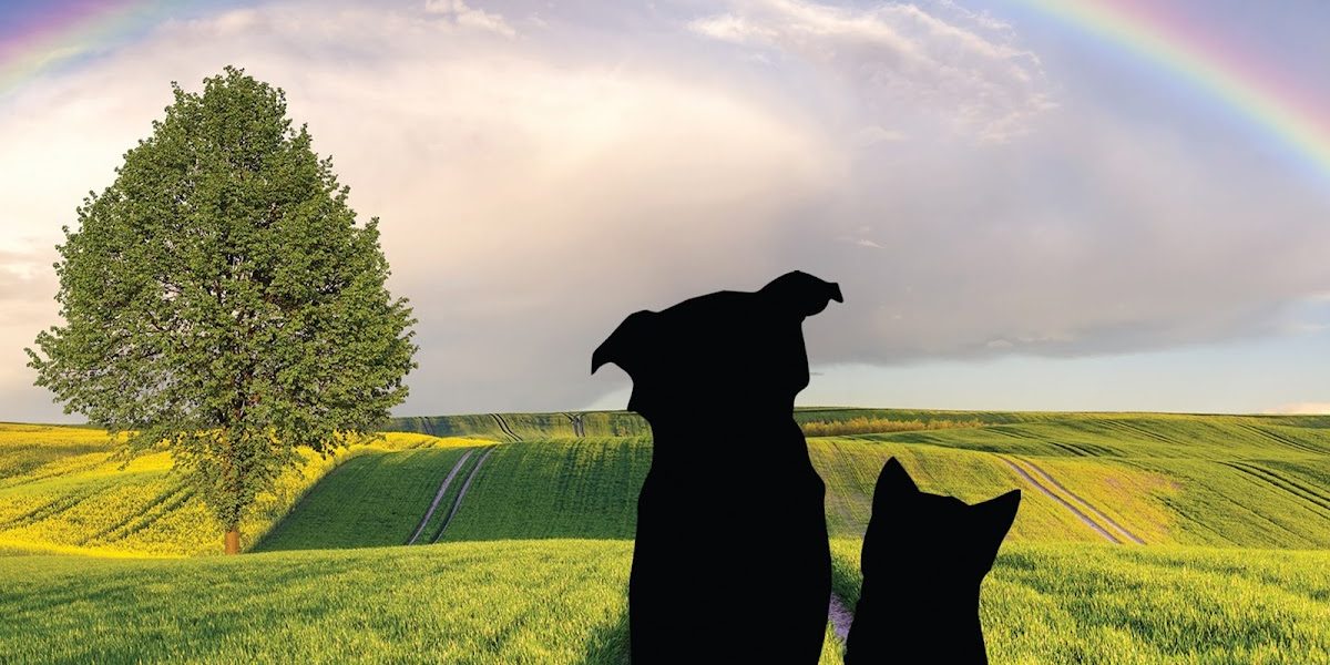 Rainbow Pastures