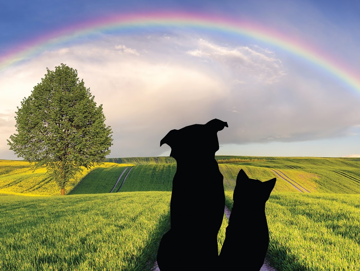Rainbow Pastures