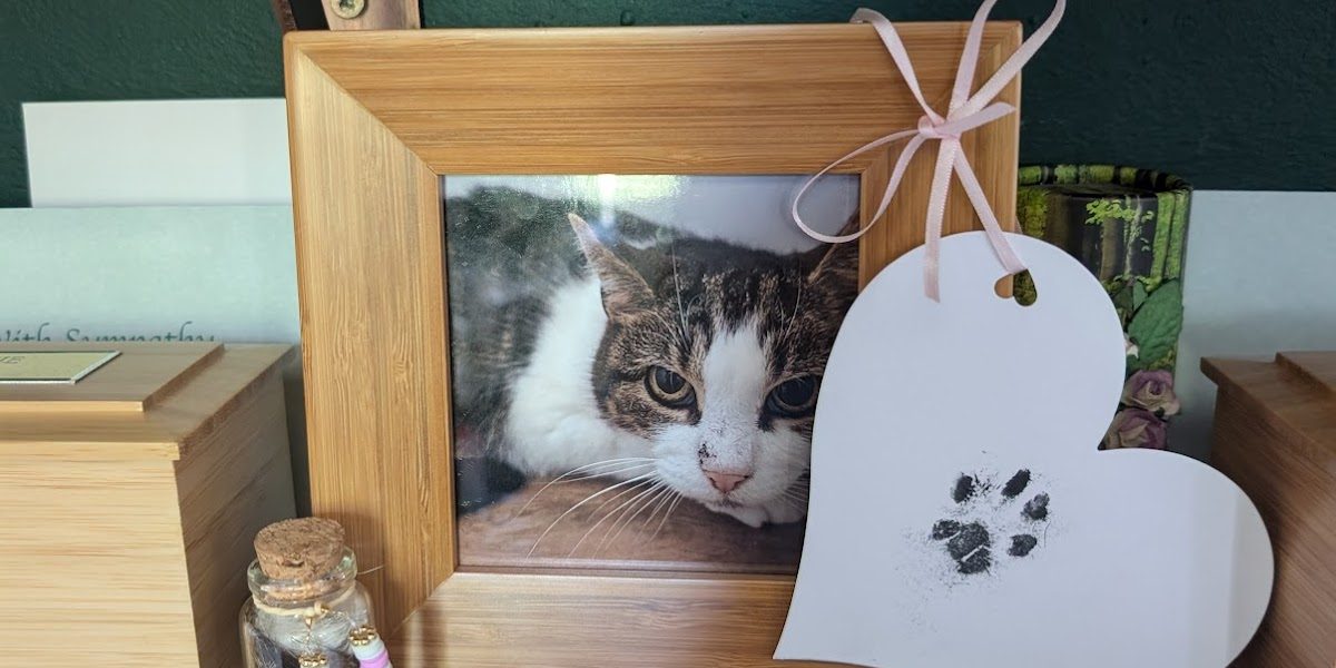 Pet Angels Cremation