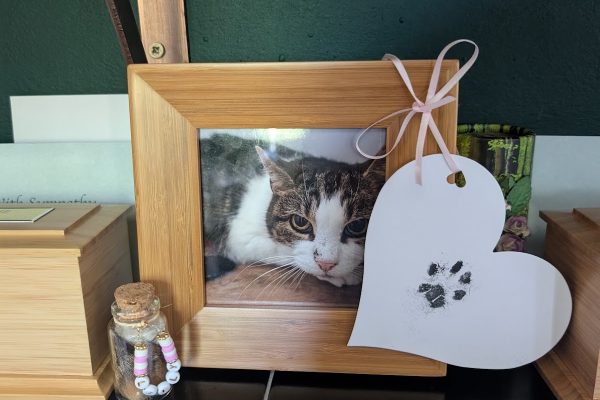 Pet Angels Cremation