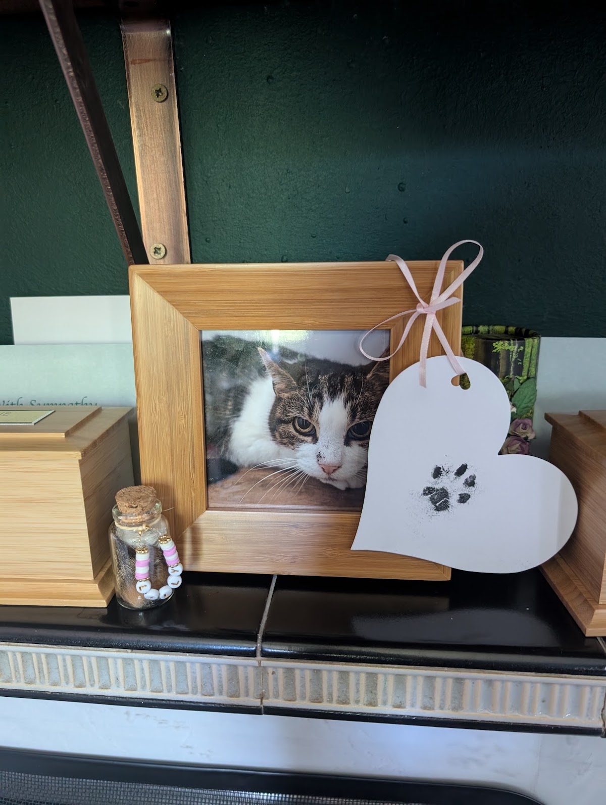 Pet Angels Cremation