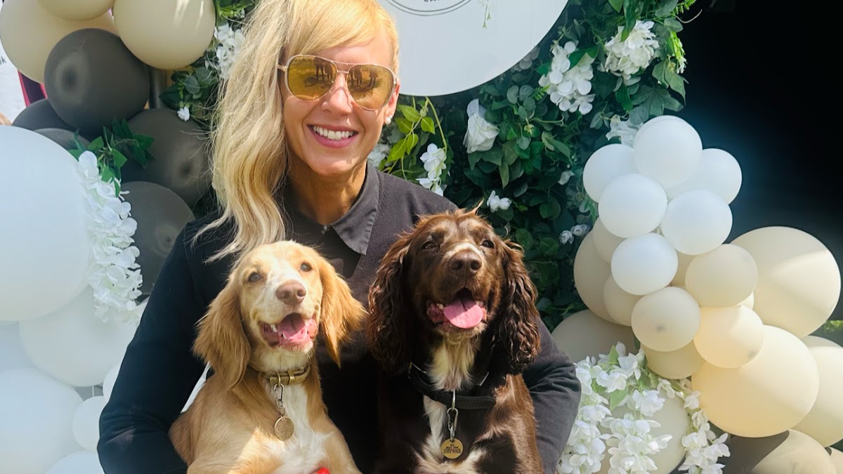 Joy Paws Dog Hotel