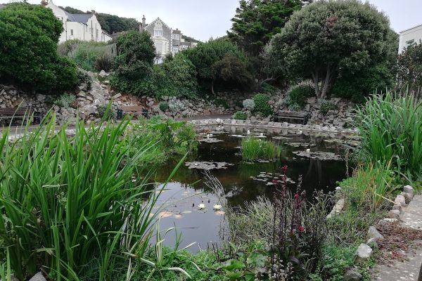 Prince Consort Gardens
