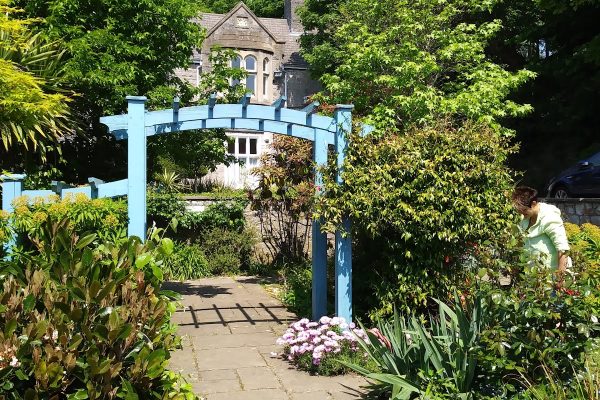 Jill’s Garden