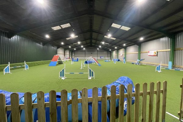 Leap and Learn Dog Training
