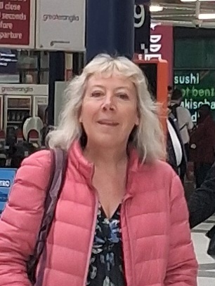 Sarah Dixon Acupuncture and Counselling in Glastonbury