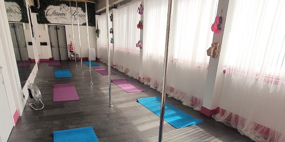 Chrome Roses Pole Dance – Cardiff